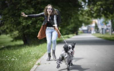 Dogs Pulling On The Lead And How To Change This
