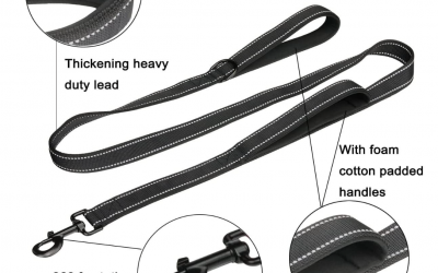 Dog Leads